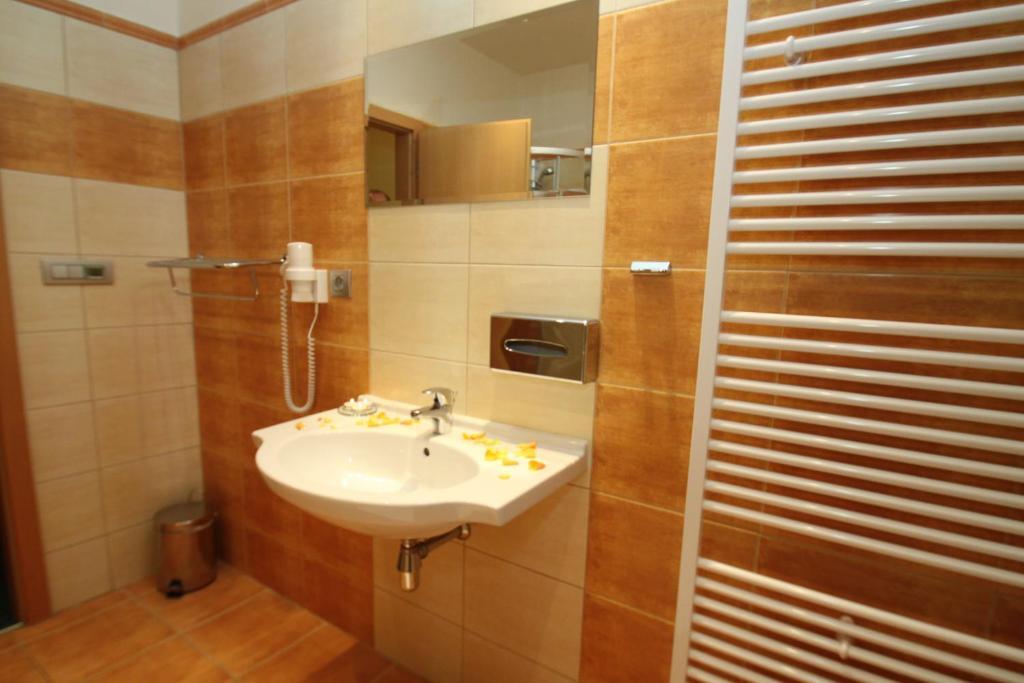Hotel Slovan 예세니크 객실 사진